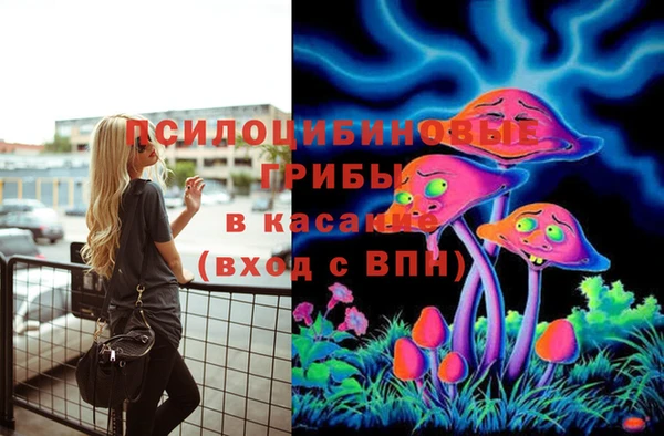 скорость Арсеньев