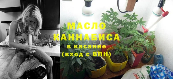 сатива Баксан