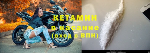 сатива Баксан