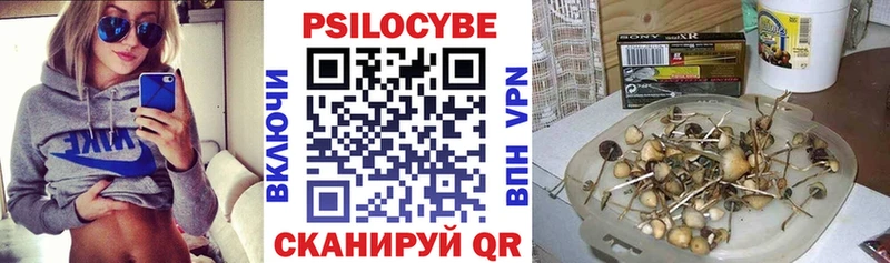 Галлюциногенные грибы Cubensis  ссылка на мегу онион  Петровск  где найти  